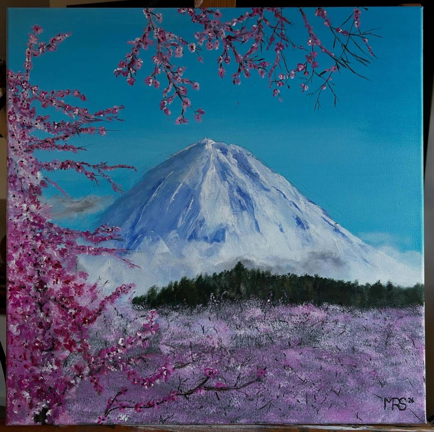 Mount Fuji 50x50